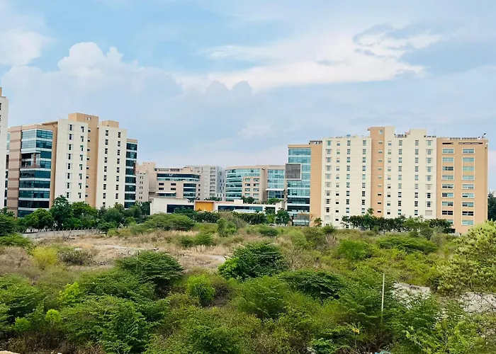 Rashibnk Homes
